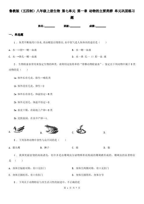 鲁教版(五四制)八年级上册生物 第七单元 第一章 动物的主要类群 单元巩固练习题