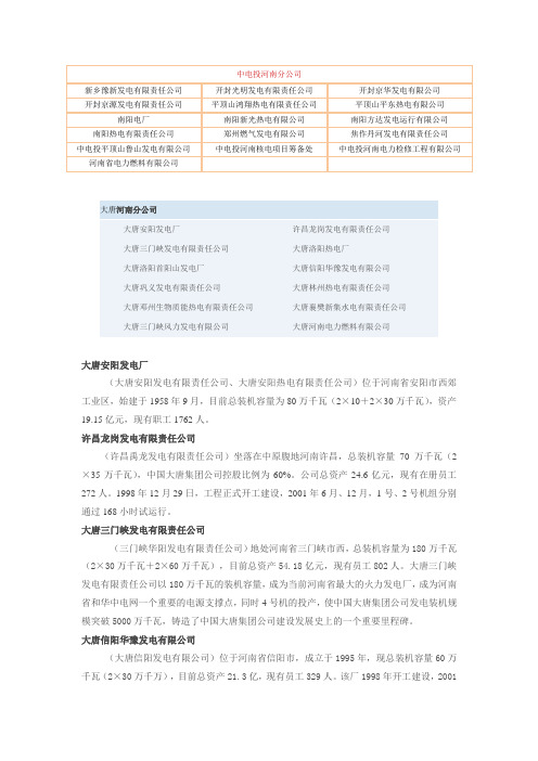 河南电力企业