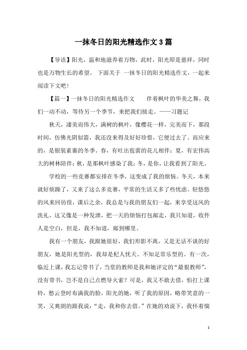 一抹冬日的阳光精选作文3篇