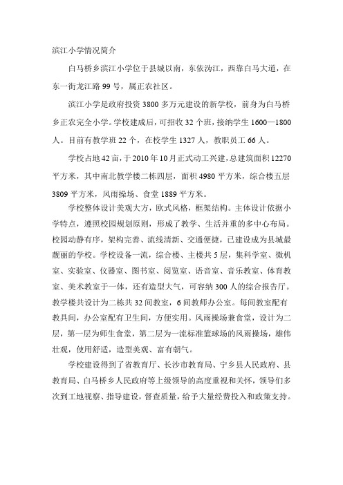 滨江小学情况简介