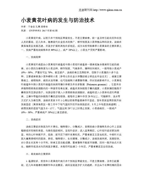 小麦黄花叶病的发生与防治技术