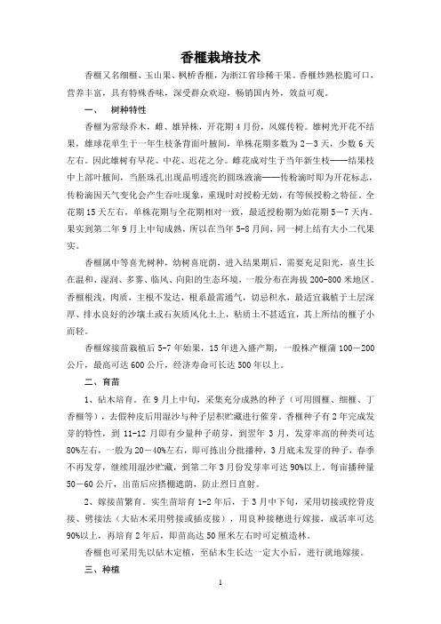 香榧栽培技术