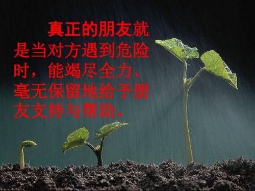 三语下18《她是我的朋友》课件