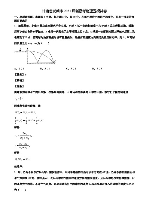 甘肃省武威市2021届新高考物理五模试卷含解析