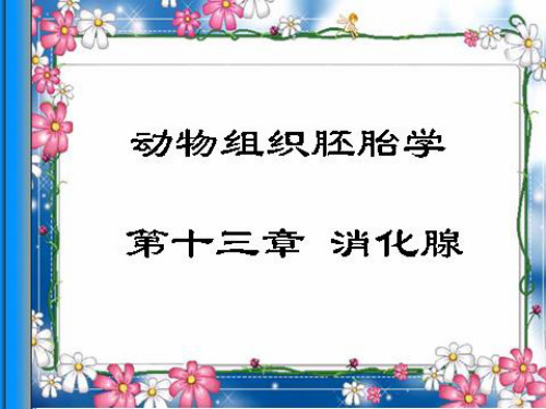 组织胚胎学课件：消化腺