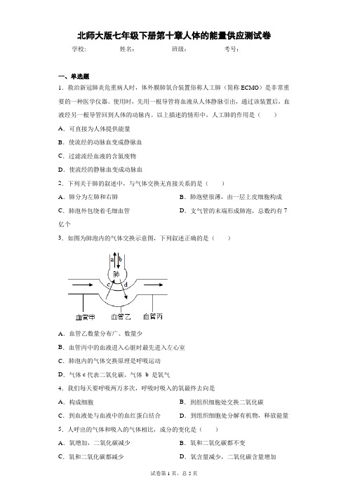 2020-2021学年 北师大版七年级下册第十章人体的能量供应测试卷(Word版 含答案)