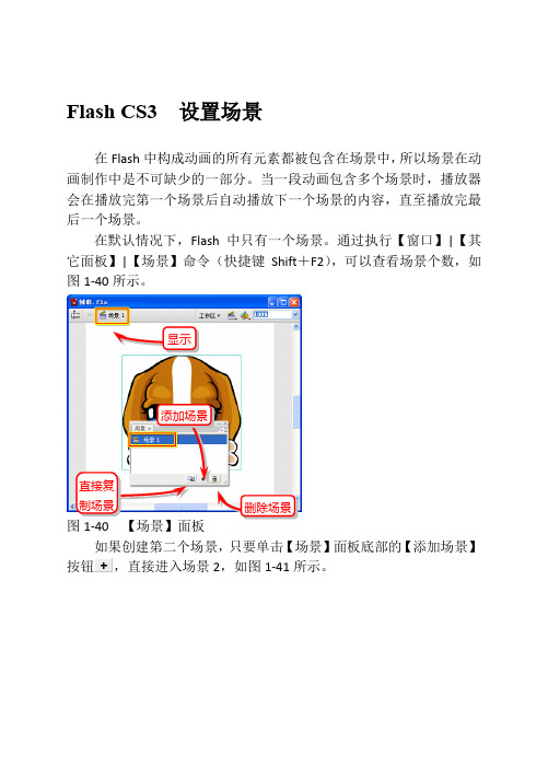 Flash CS3  设置场景