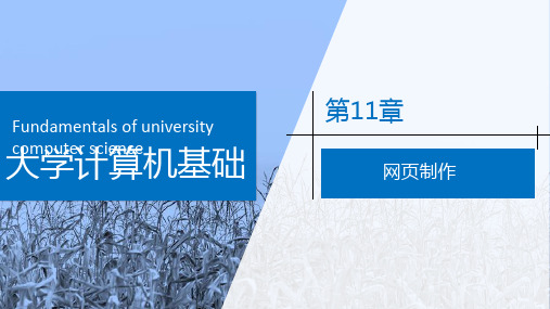 大学计算机基础——Windows 10+Office 2016 第11章 网页制作