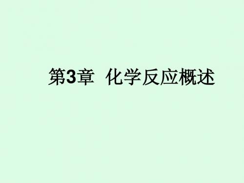 第3章  化学反应概述1