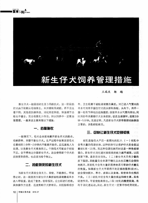 新生仔犬饲养管理措施