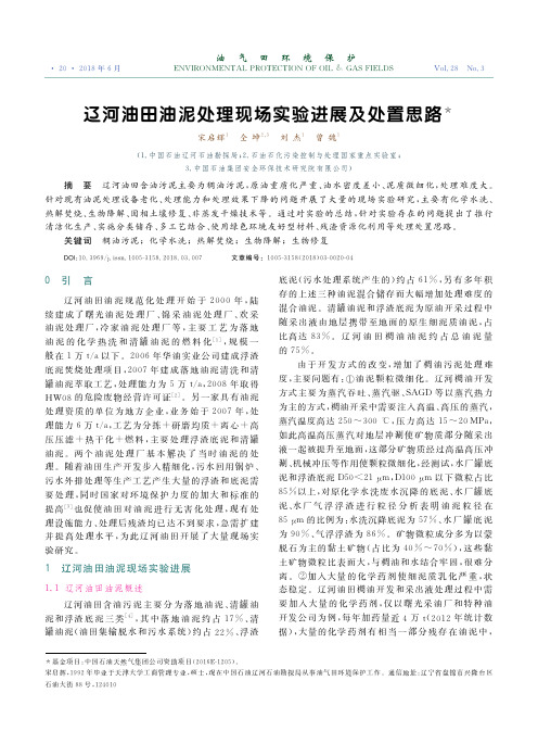 辽河油田油泥处理现场实验进展及处置思路