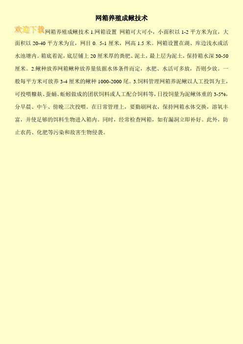 网箱养殖成鳅技术