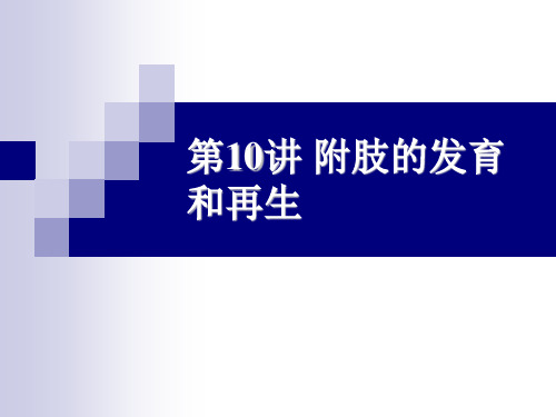 第10讲 附肢发育