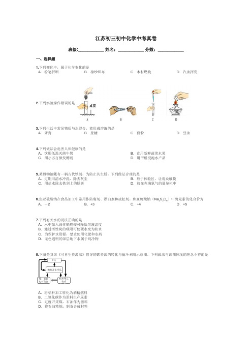 江苏初三初中化学中考真卷带答案解析

