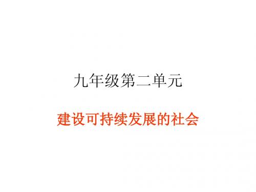 九年级历史与社会第二单元复习