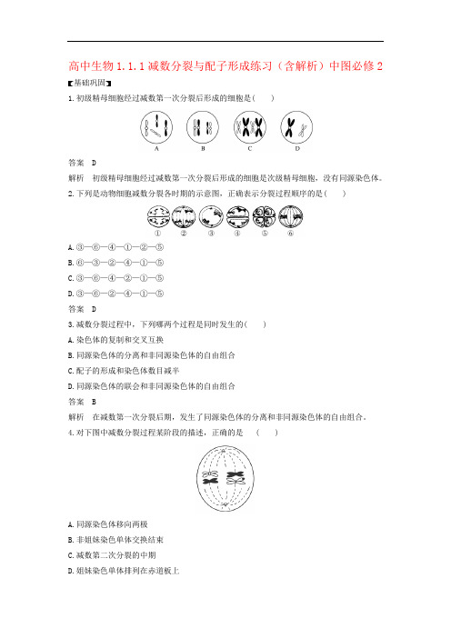 高中生物1.1.1减数分裂与配子形成练习(含解析)中图必修2
