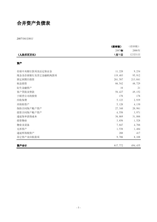 2007年中期财务数据国际会计准则-简体