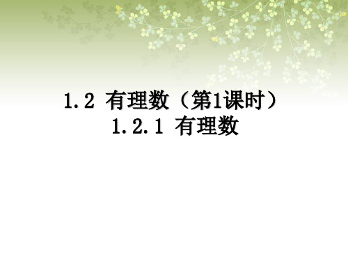 人教版七年级数学上册1.2《有理数》课件1 (共14张PPT)