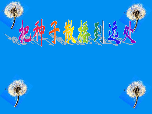 四年级下册科学课件 -2.4 把种子散播到远处 ｜教科版 (共15张PPT)