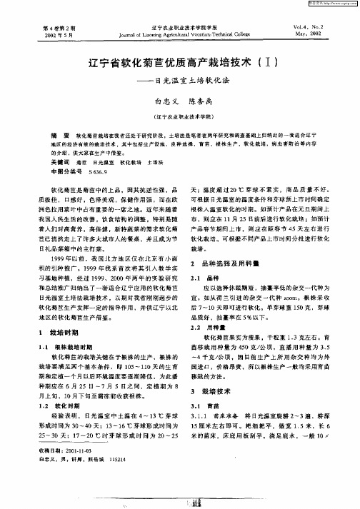 辽宁省软化菊苣优质高产栽培技术(I)—日光温室土培软化法