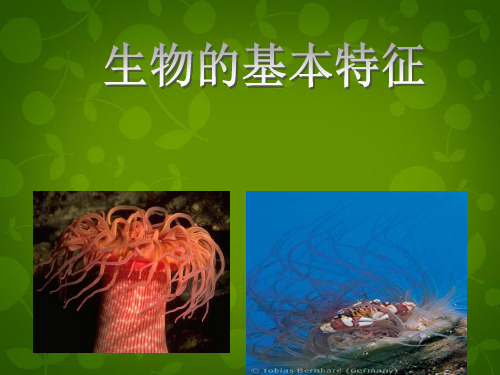 (新人教版)七年级上册生物：第1单元第1章第1节《生物的特征》课件(共28张PPT)