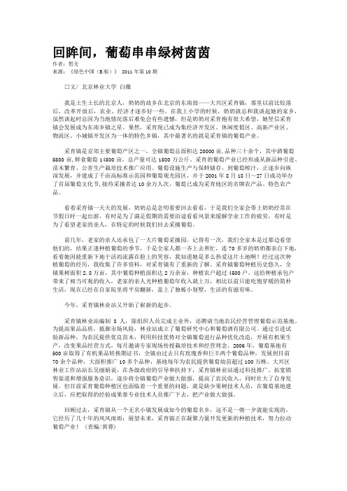 回眸间,葡萄串串绿树茵茵