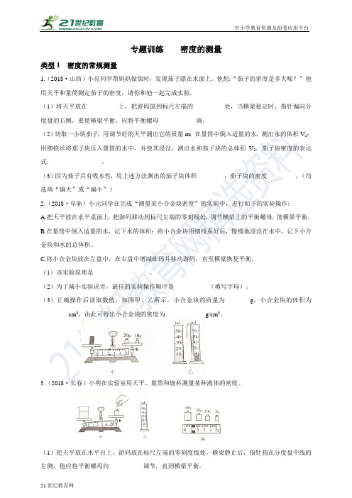 专题训练  密度的测量