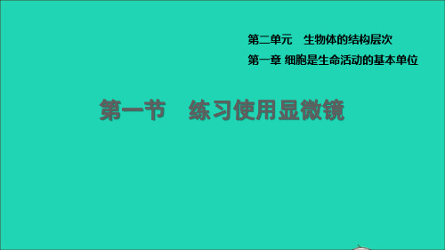 七年级生物上册第二单元生物体的结构层次第一章细胞是生命活动的基本单位第1节练习使用显微镜新版新人教版