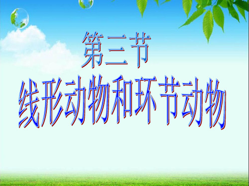 人教版八年级生物上册1《第一章_第二节_线形动物和环节动物》课件