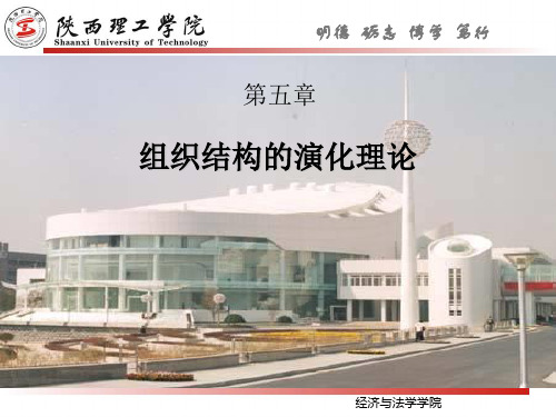 组织结构的演化理论