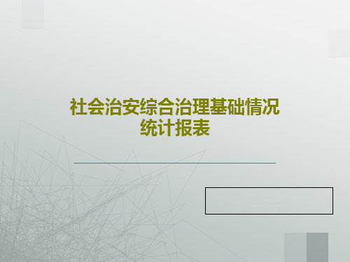 社会治安综合治理基础情况统计报表共31页