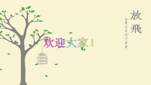 氧化还原反应总结报告 PPT