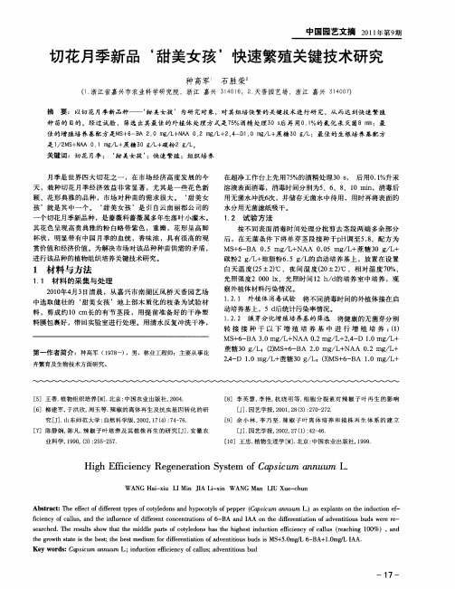 切花月季新品‘甜美女孩’快速繁殖关键技术研究