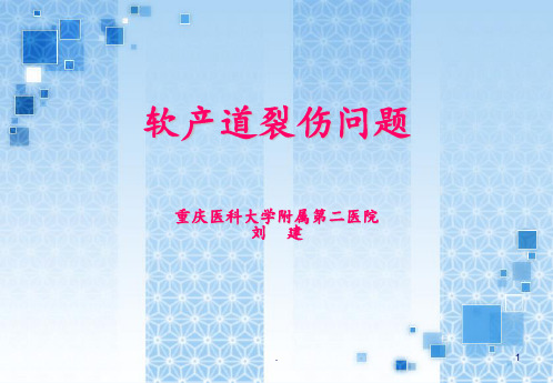软产道裂伤PPT课件