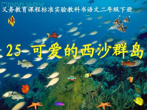 25可爱的西沙群岛ppt