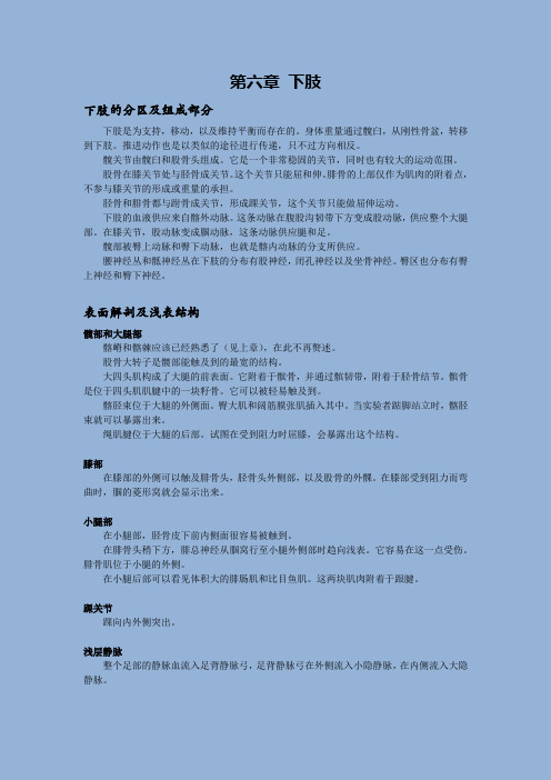 解剖学 第六章