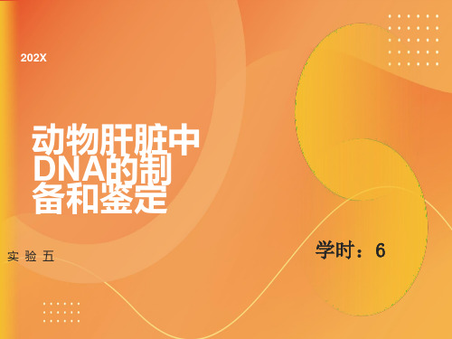 动物肝脏DNA提取和鉴定