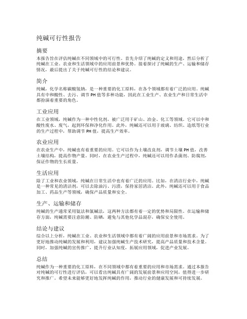 纯碱可行性报告