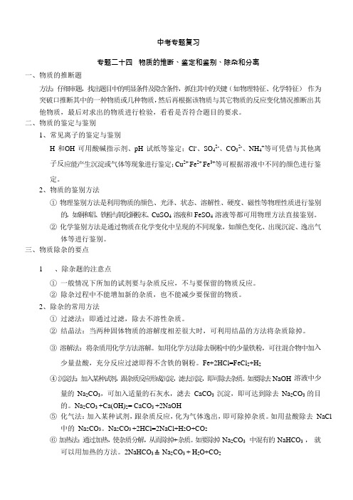专题二十四 物质的推断、鉴定和鉴别、除杂和分离—2021届九年级科学中考总复习专题讲义(化学)