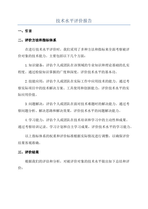 技术水平评价报告