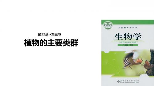 八年级下册生物课件-7.22.3《植物的主要类群》课件 北师大版