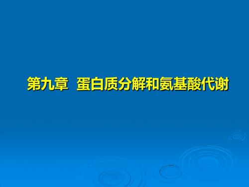 09蛋白质分解和氨基酸代谢共71页PPT资料