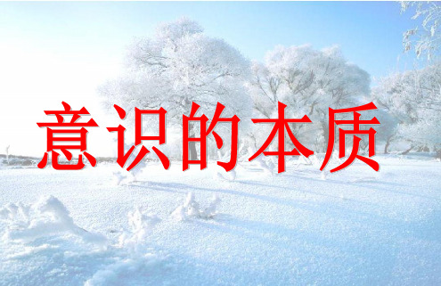 ——学高二政治人教版必修四意识的本质张精品PPT课件