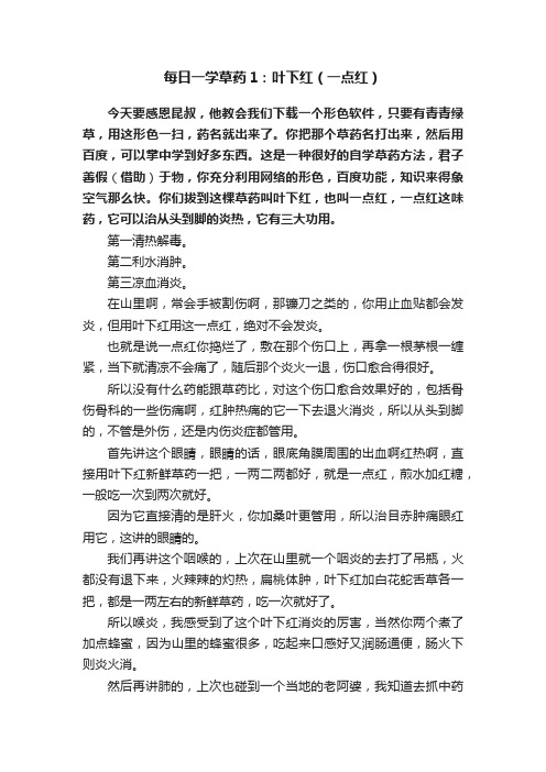 每日一学草药1：叶下红（一点红）