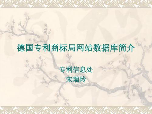 德国专利商标局网站数据库介绍