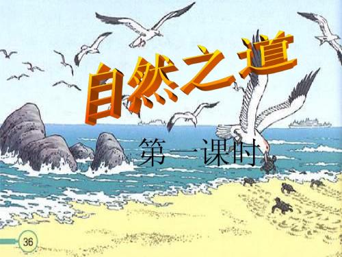 自然之道
