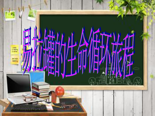 易拉罐的生命循环旅程