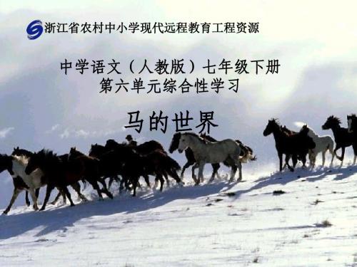 人教版语文七年级上册第六课《马的世界》课件