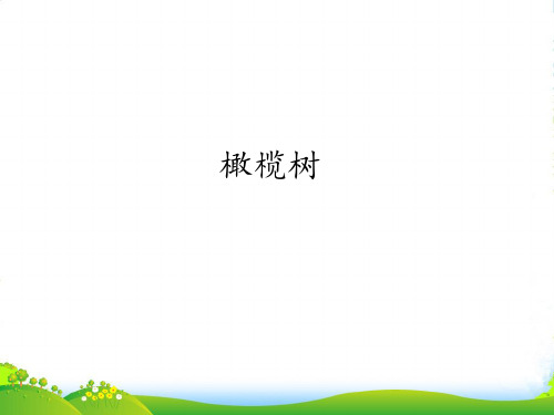 新人教版八年级上册音乐课件 第2单元：橄榄树(共21张PPT)