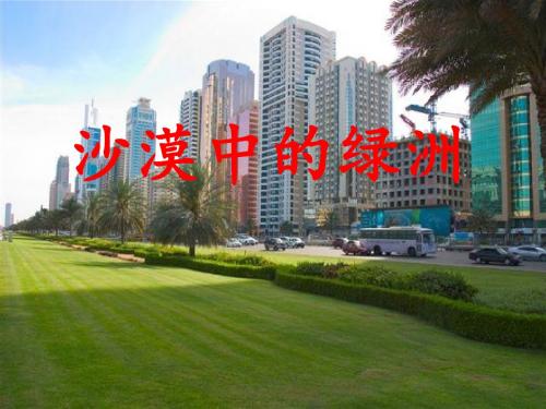 18.沙漠中的绿洲